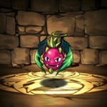 「木曜ダンジョン（緑龍の巣窟 中級）」でドラゴンフルーツ探し