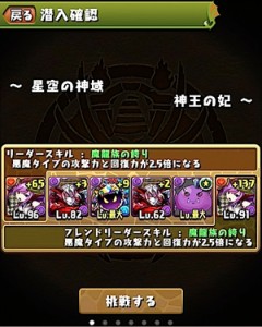 星空の神域（神々の妃）