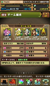 ガーグァネコ入り回復パ