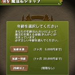 魔法石の無駄遣い