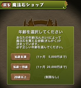 魔法石の無駄遣い